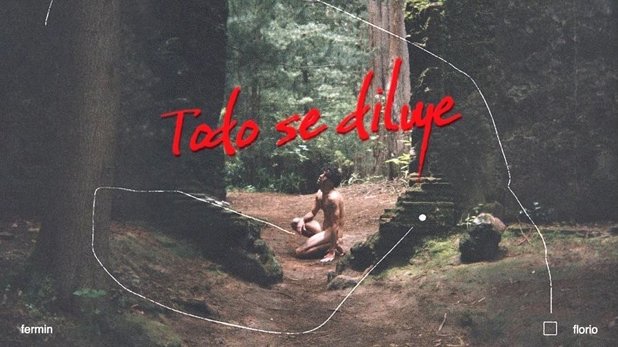«Todo se diluye» und das Soloset – Fermín